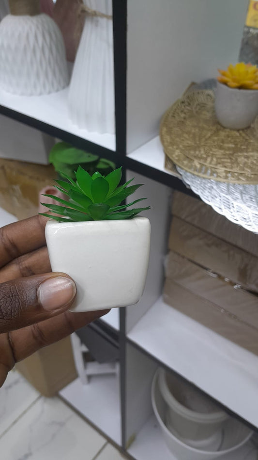 Mini Artificial Succulent Plants – Realistic Faux Greenery Décor